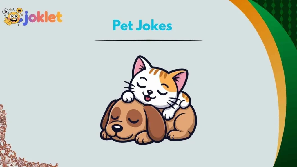 Cat Jokes That Are Slightly Judgmental
