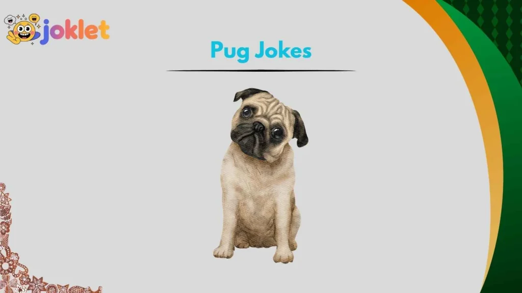 Cute Pug Jokes for Dog Lovers