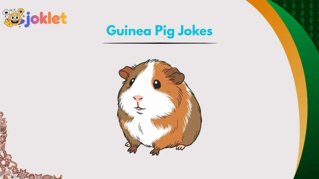 Guinea Pig Owner Jokes