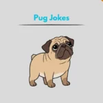 Pug Jokes