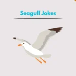 Seagull Jokes