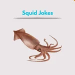 Squid Jokes